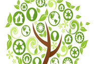多參數(shù)水質(zhì)分析儀招標參數(shù)是什么？有什么要求？
