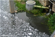 污水處理廠進(jìn)水口水質(zhì)、出水口水質(zhì)12項(xiàng)必檢項(xiàng)目指標(biāo)